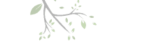 tree branch