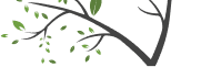 tree branch
